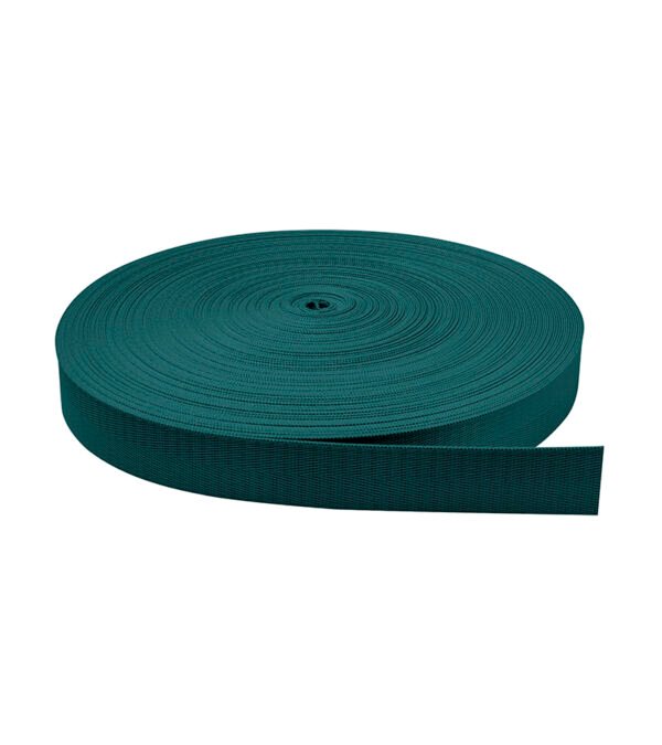 1_0107_Nylon-Brillosa-2.5-acero-claro.jpg Cinta Nylon Brillosa Normal Acero Claro 2.5